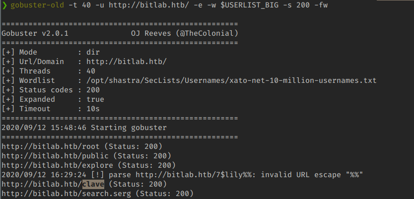 Gobuster user